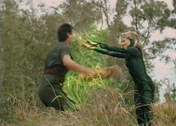 aa